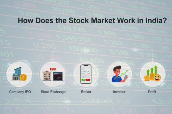 Stock Market 
